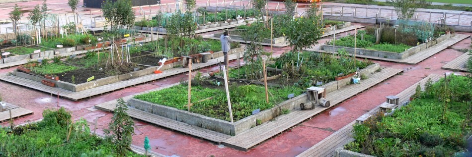 Everything you need to know 'Urban Farming' (agriculture, gardening)