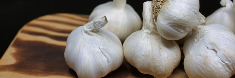 20 Most Profitable Crops For Farms Garlic