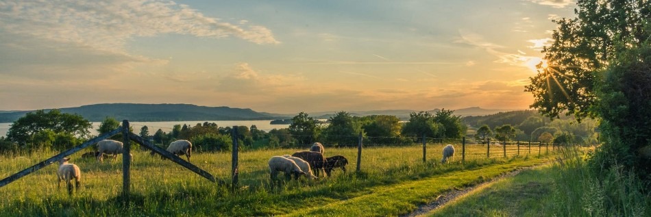 15 Tips On How To Start Farming in 2020