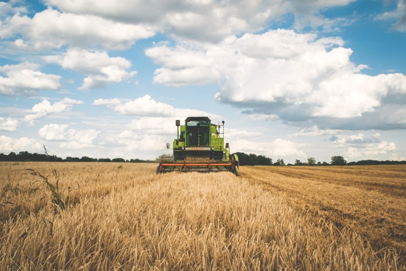 15 Tips On How To Start Farming in 2020