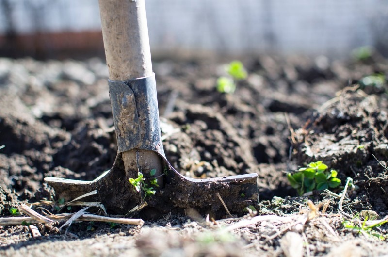 15 Tips On How To Start Farming in 2020