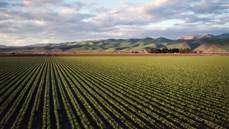 15 Tips On How To Start Farming in 2020