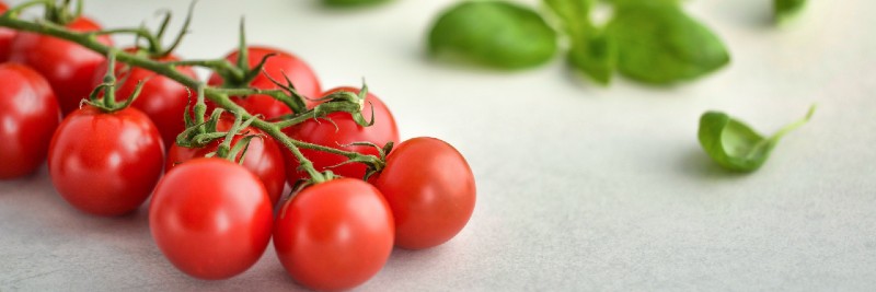 20 Most Profitable Crops For Farms Cherry Tomatoes