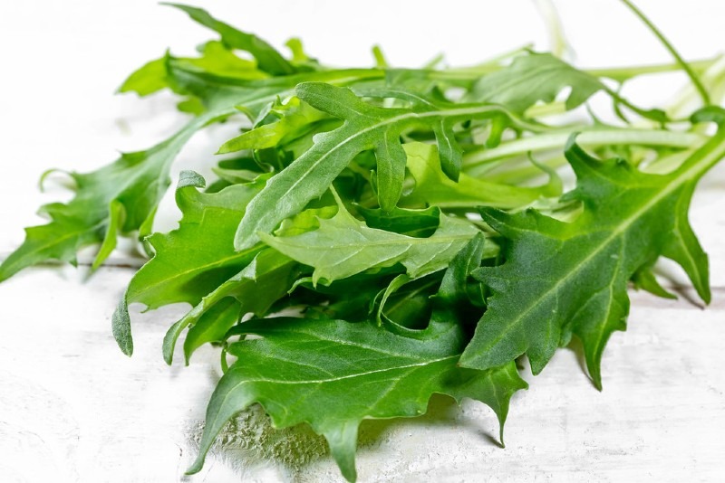 Arugula