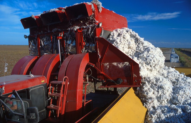 How is cotton made?