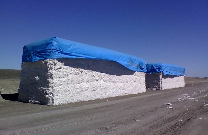 Cotton production and fabric use
