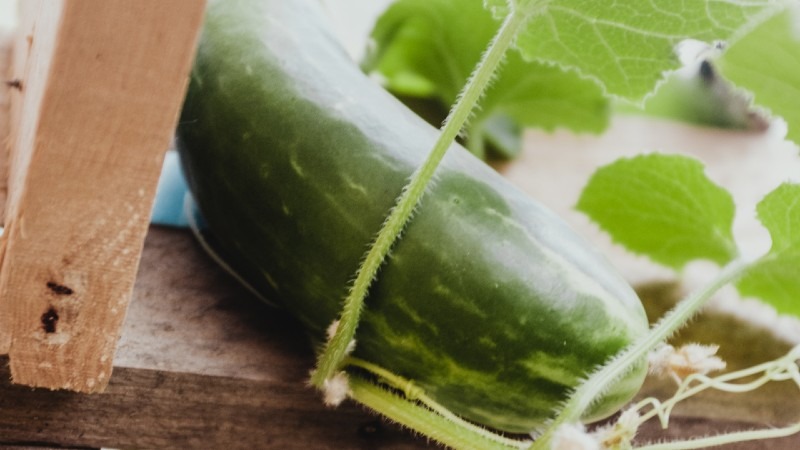 Cucumbers