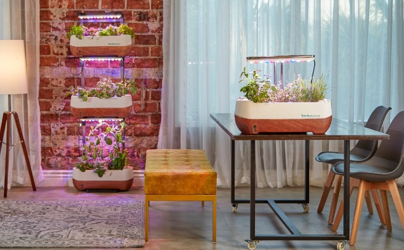 Vertical Gardens - Everything you need to know
