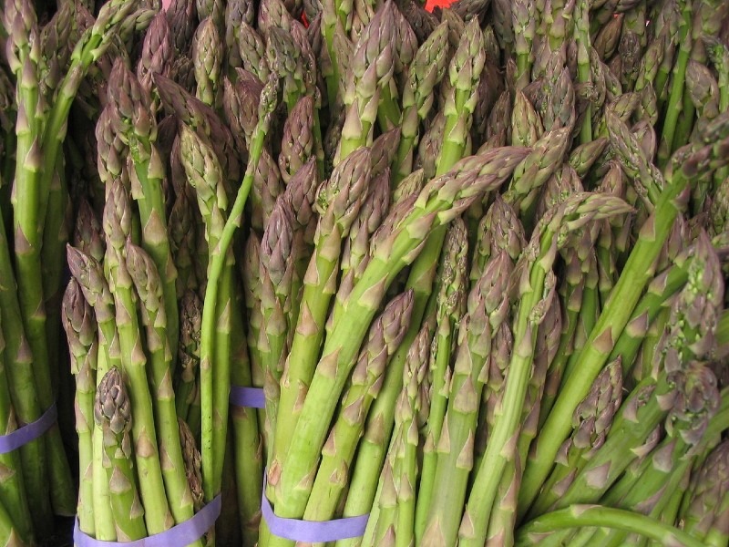 How to Grow Asparagus: Planting, Growing, Harvesting and More