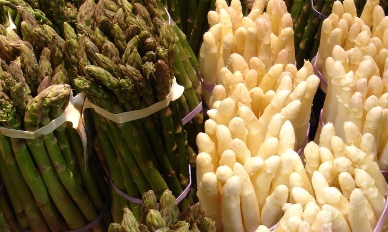 How to Grow Asparagus: Planting, Growing, Harvesting and More