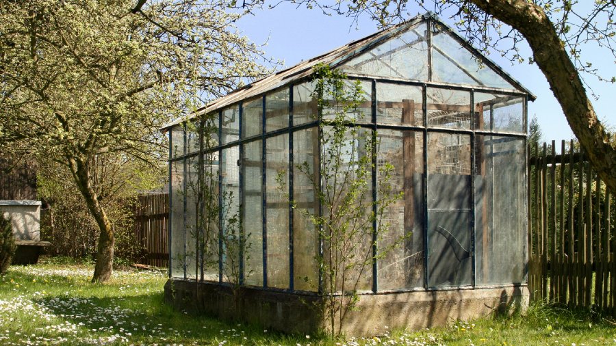 Growing Vegetables in Greenhouses is More Profitable