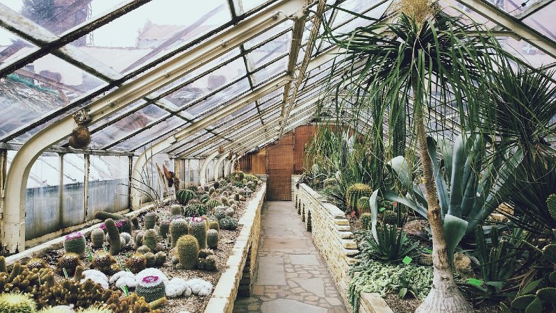 16 Greenhouse 'How To Start' Tips For Beginners