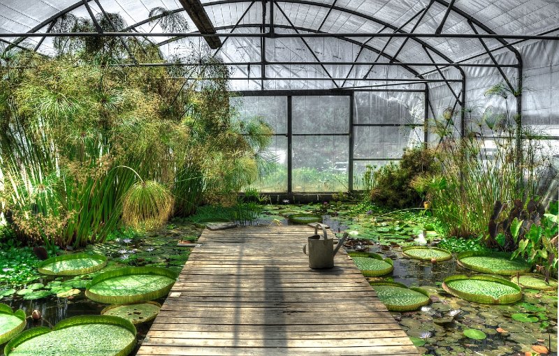 16 Greenhouse 'How To Start' Tips For Beginners