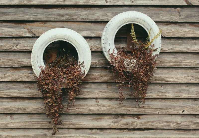 Vertical Gardens - Everything you need to know