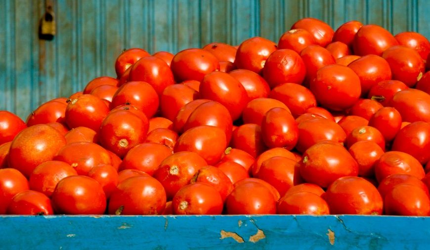 What is Organic Farming?