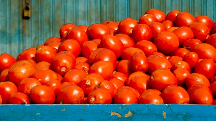 What is Organic Farming?