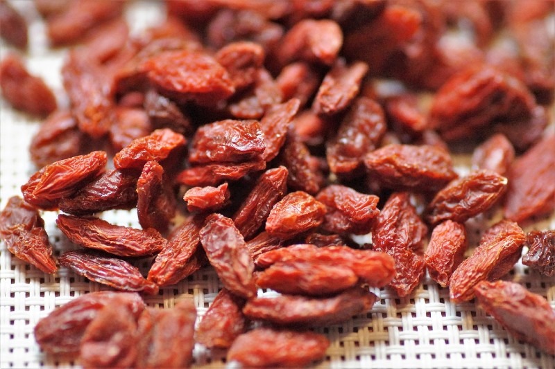 Goji Berry Growing: Soil, Maintenance, Harvest, Storage, Drying, Benefits and More