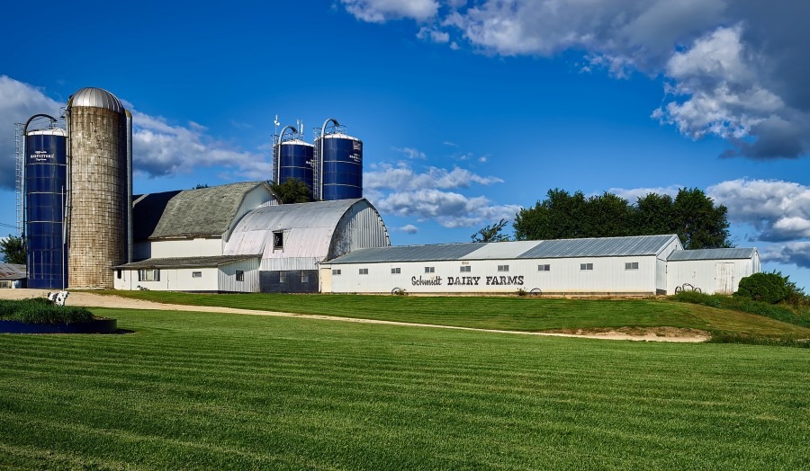 How Profitable is Dairy Farming?
