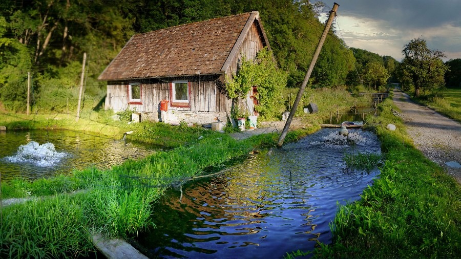 How Profitable is Fish Farming (Aquaculture) and How to Start a Fish Farm