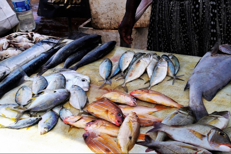 How Profitable is Fish Farming (Aquaculture) and How to Start a Fish Farm