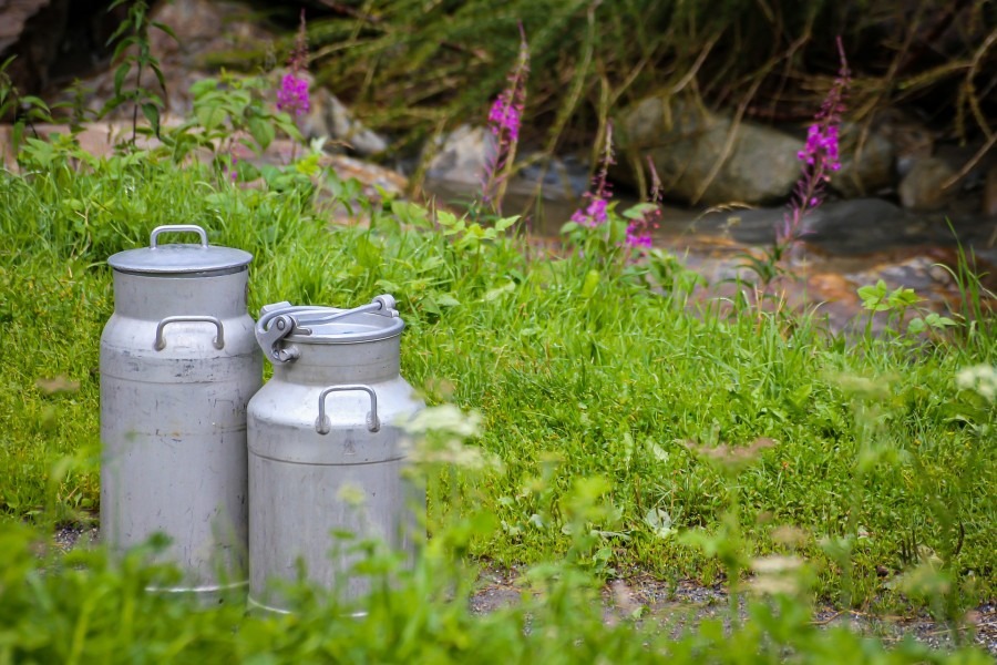 How Profitable is Dairy Farming?