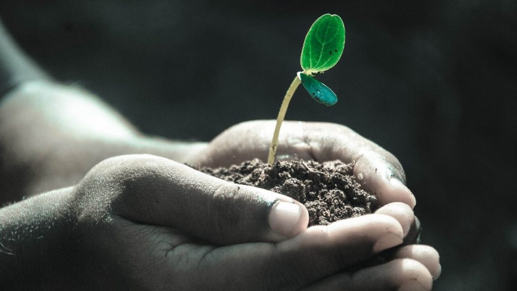 Which Places Have The Richest Soil In The World?