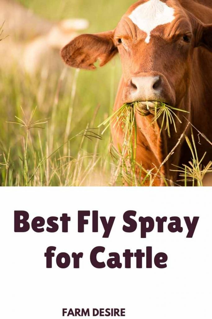 best fly spray for cattle 2020