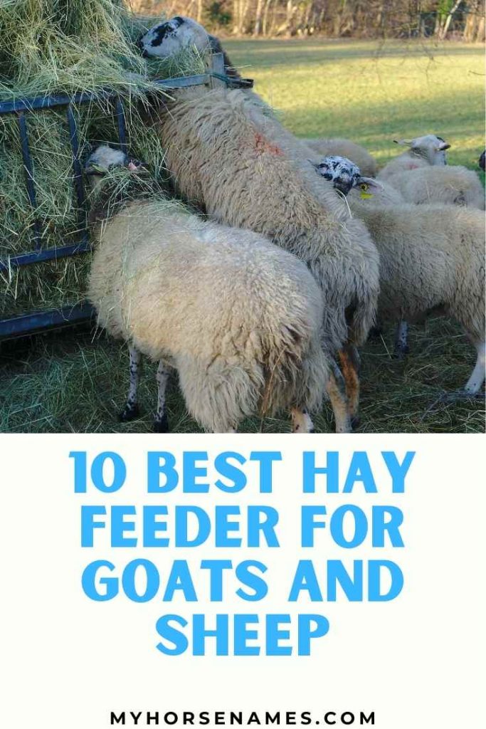 best hay feeder