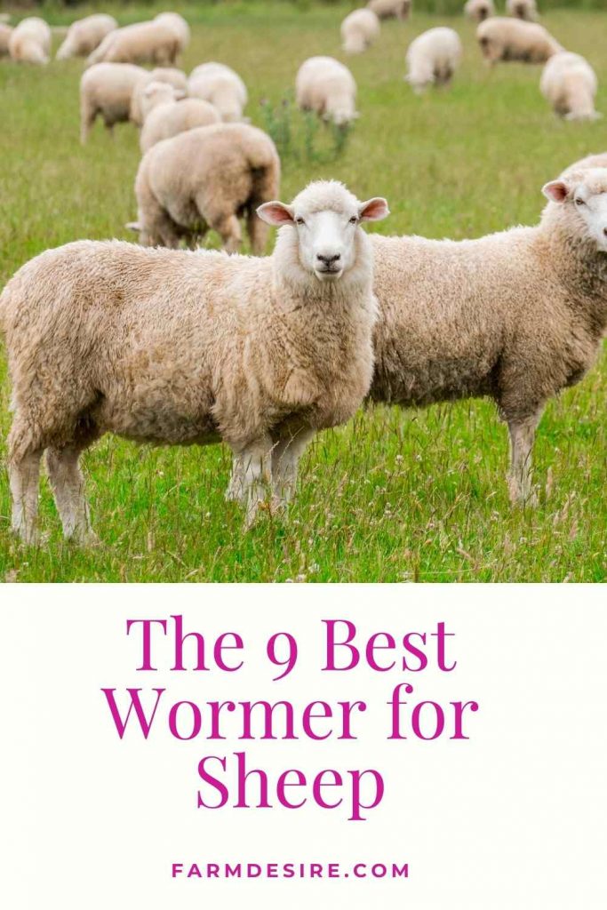 wormer for sheep