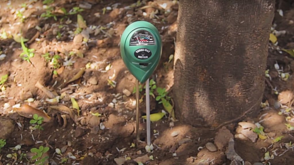 Will a Soil pH Tester Work in Water?