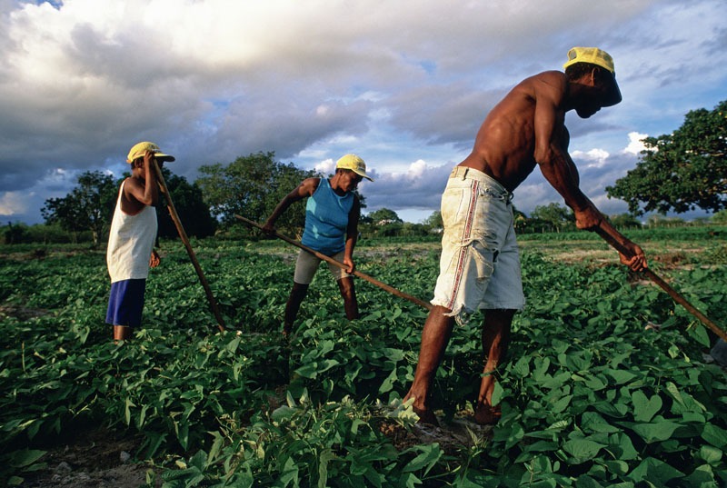 Differences Between Sharecroppers and Tenant Farmers