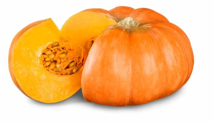 Can Cows Eat Pumpkins? Benefits-of-feeding-pumpkins-to-cows