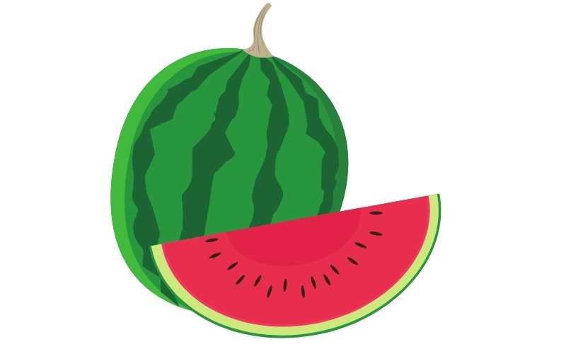 impact of feeding watermelon