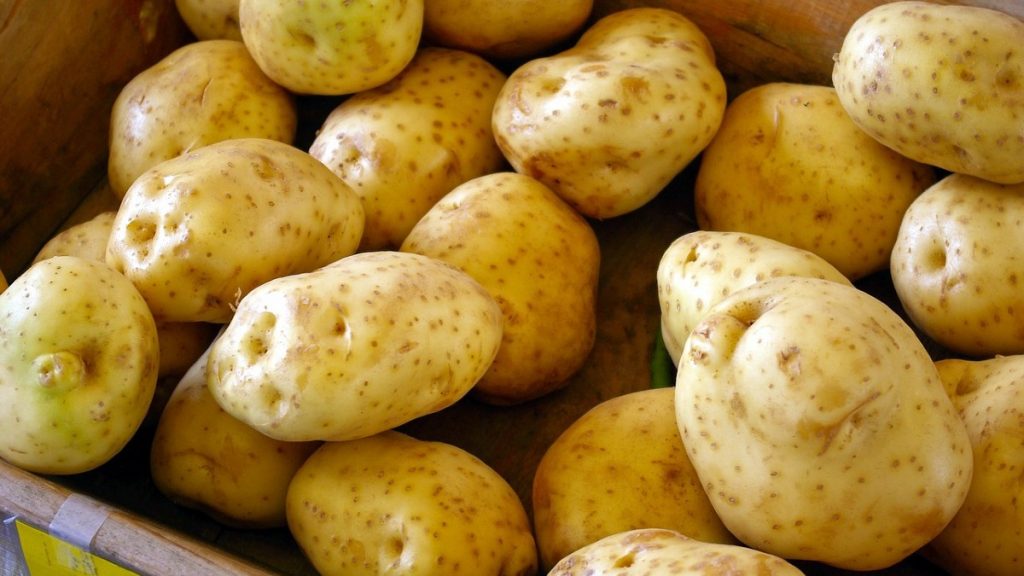 Why do Plants Store Glucose as Starch?