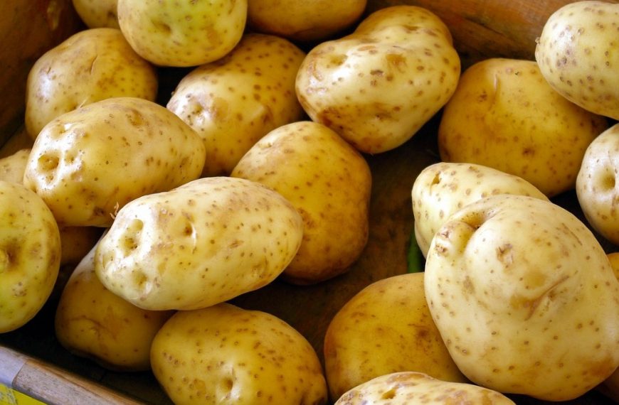 Why do Plants Store Glucose as Starch?