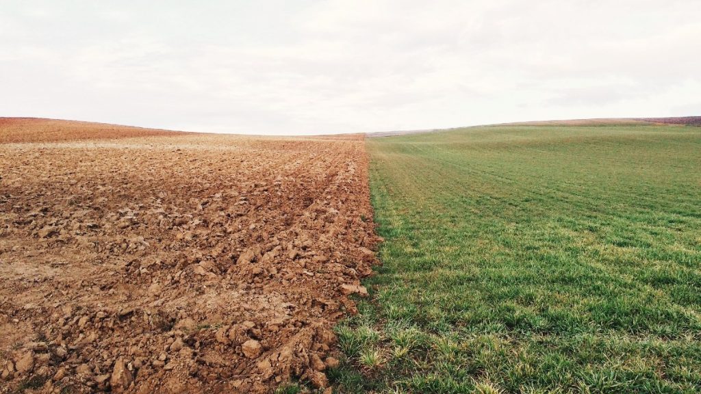 Is Soil a Renewable Resource?
