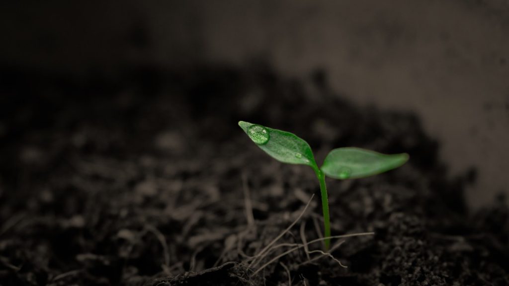 Is Soil a Renewable Resource?