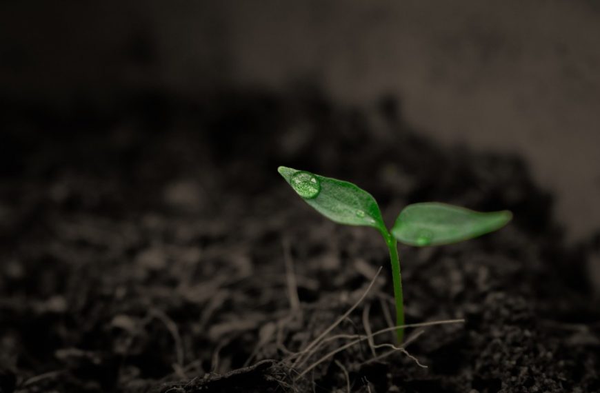 Is Soil a Renewable Resource?
