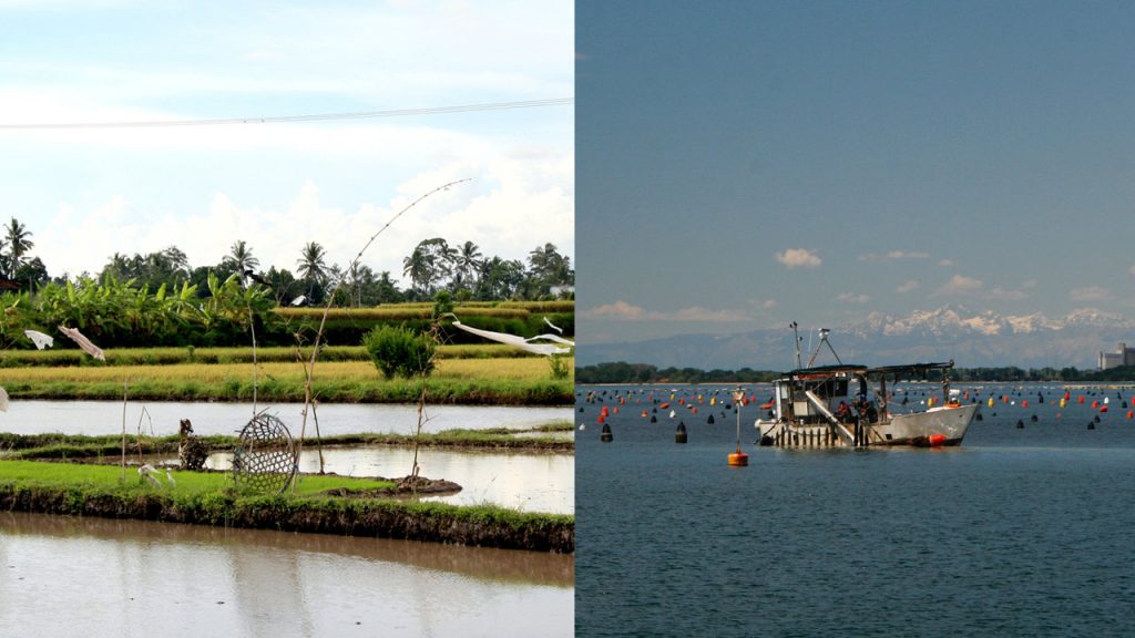 Difference-Between-Pisciculture-and-Aquaculture--04