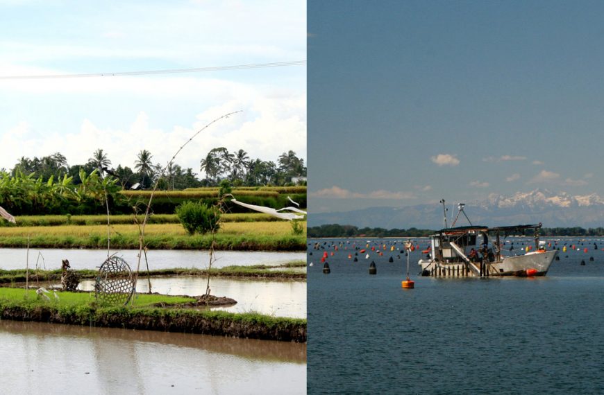 Difference Between Pisciculture and Aquaculture