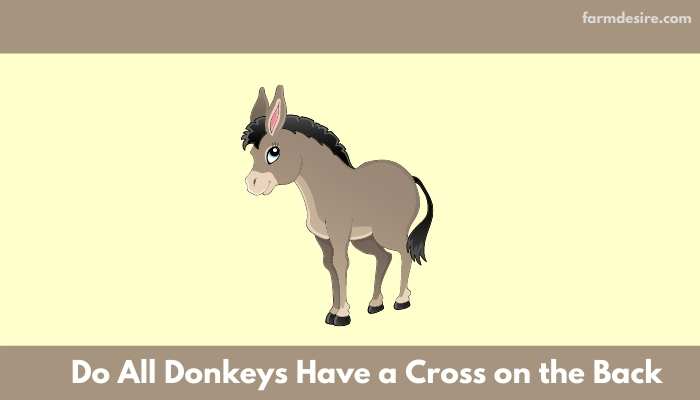 Do All Donkeys Have a Cross on the Back?