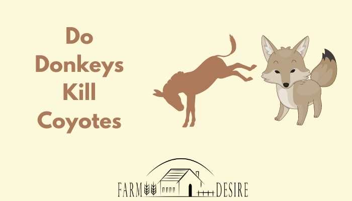 Do Donkeys Kill Coyotes