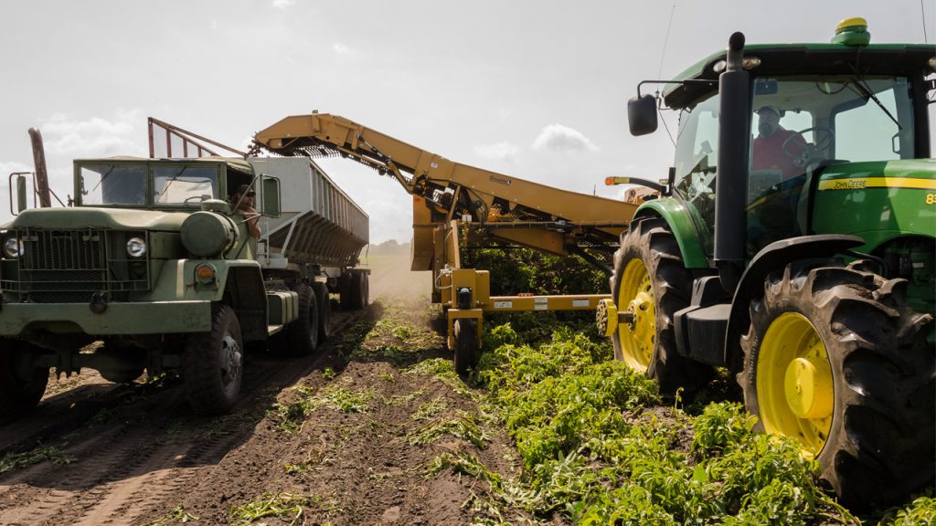 How Many Bushels of Corn Fit in a Semi-trailer How Many Bushels of Corn Fit in a Semi-trailer