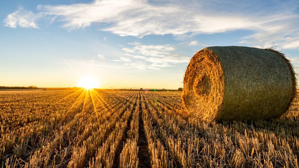 How Many Bushels of Corn Fit in a Semi-trailer