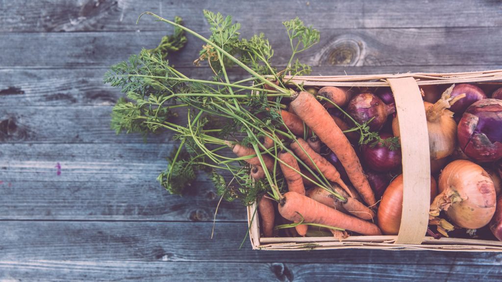 What Are the Advantages and Disadvantages of Sustainable Agriculture