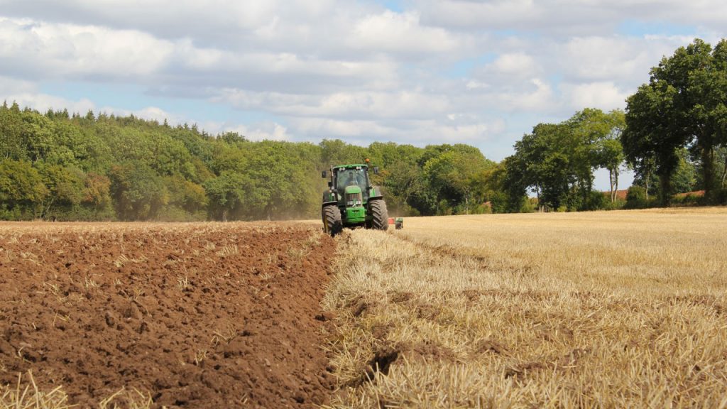 Why Are Farmers Paid To Not Grow Crops?