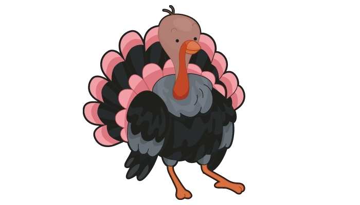 Can Turkeys Smell Food Items
