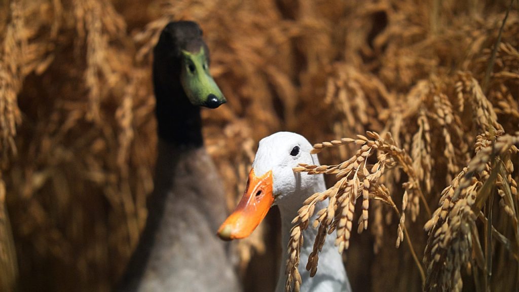 How Do Farmers Sell Their Crops?