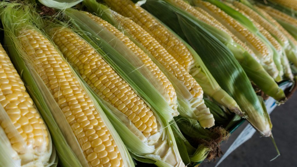 What Do Farmers Grow?
