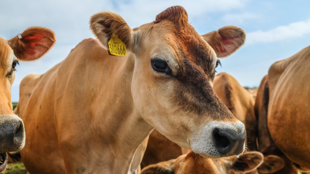 What Does Agriculture Consist of?